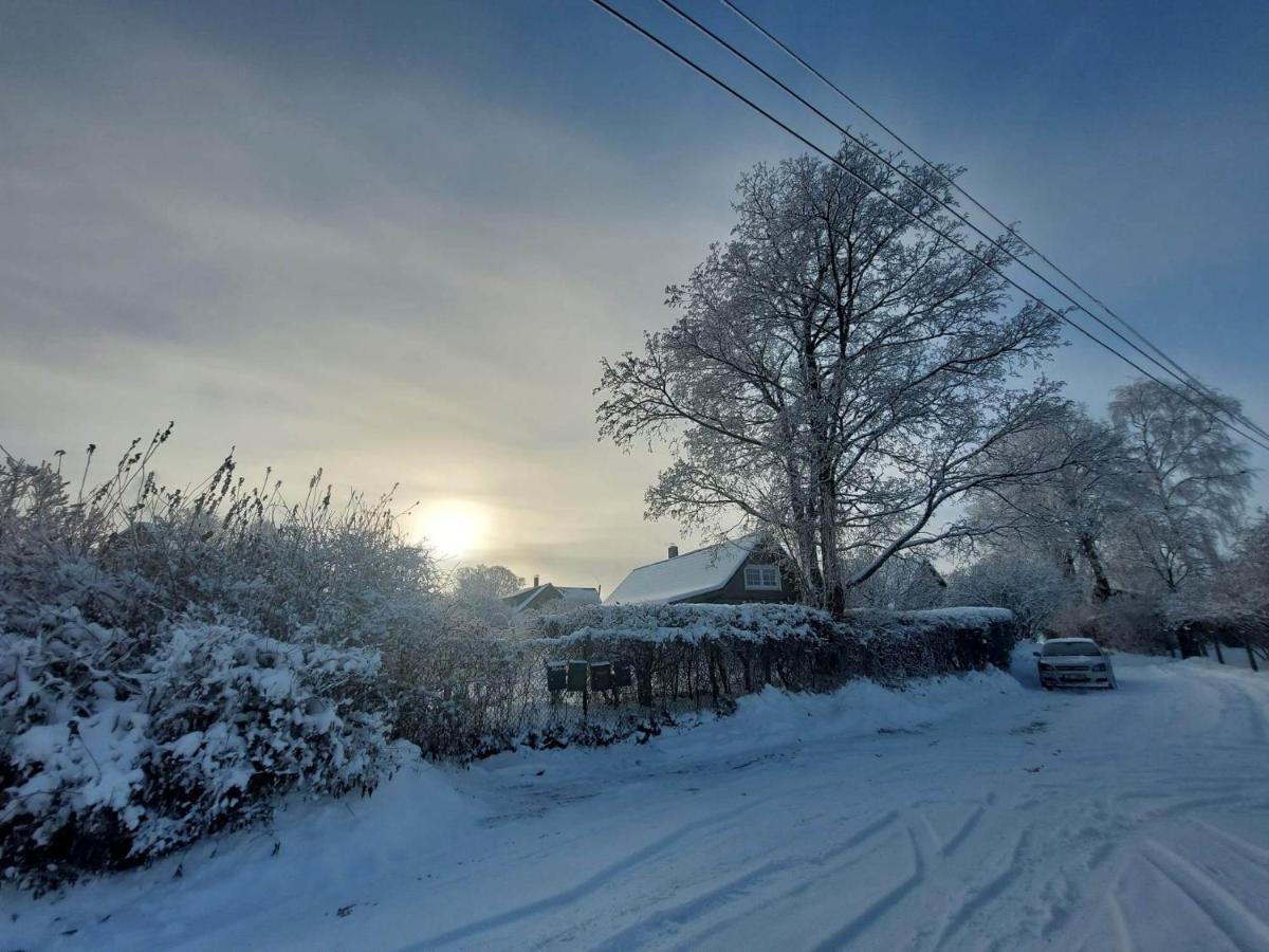 Namins Pie Juras Villa Lapmežciems Buitenkant foto