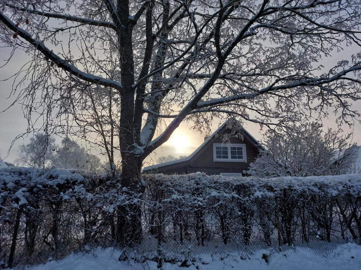 Namins Pie Juras Villa Lapmežciems Buitenkant foto